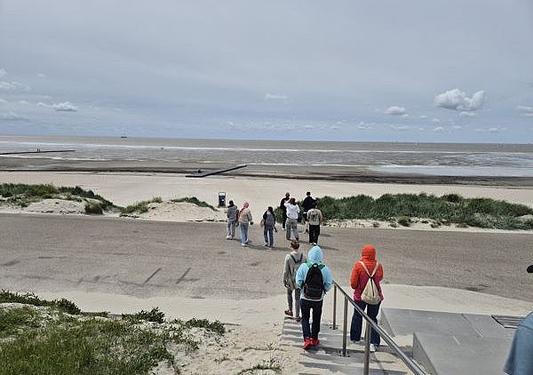 Strand Harlingen